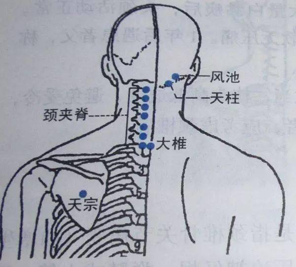 给肩膀按摩,却越按越累?3个穴位教你快速缓解