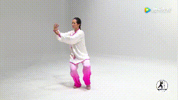 32式太极拳动图全解,看到的都收藏了!