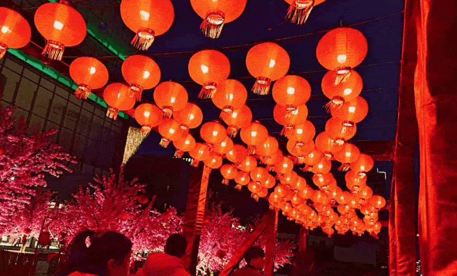 灯谜妙 桃花夜放伴随着璀璨灯海 逛灯展赏花灯 流光溢彩迎元宵 2月