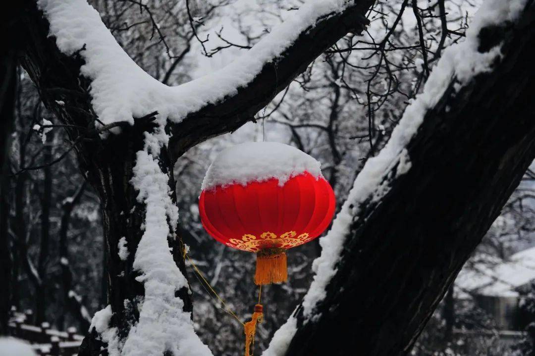 正月十五雪打灯来看楸林雅筑绝美雪景