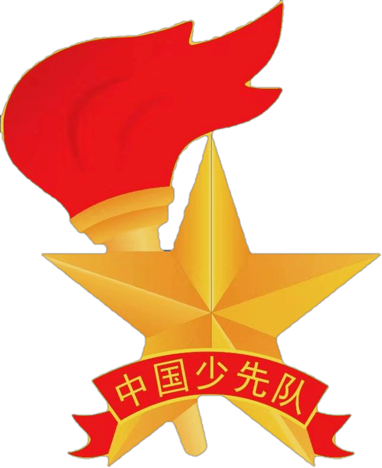 让红领巾更加鲜艳丨团市委,市少工委传达学习《中共中央关于全面加强