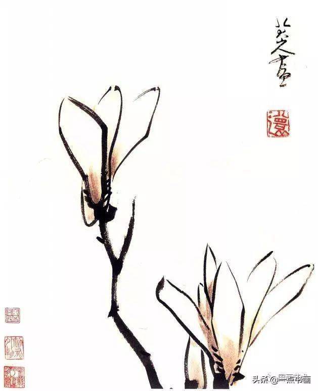 好花须向画里看,古今名家画玉兰