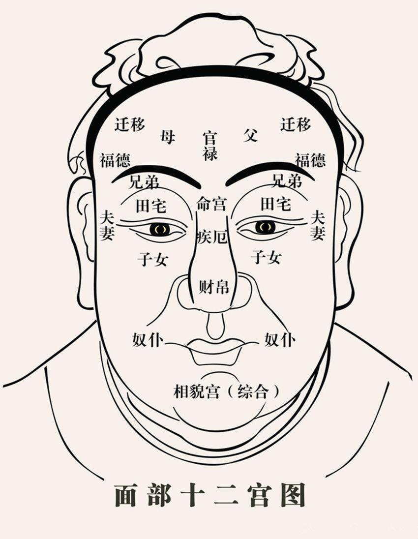 你的脸上有阴德纹吗行善作恶脸上皆有体现