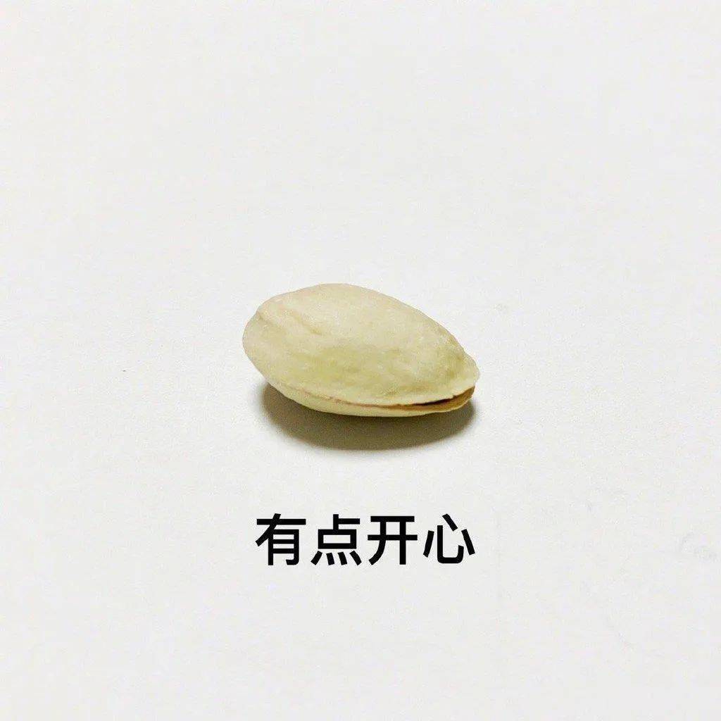 如果开心果做成表情包,这看着也太开心了!