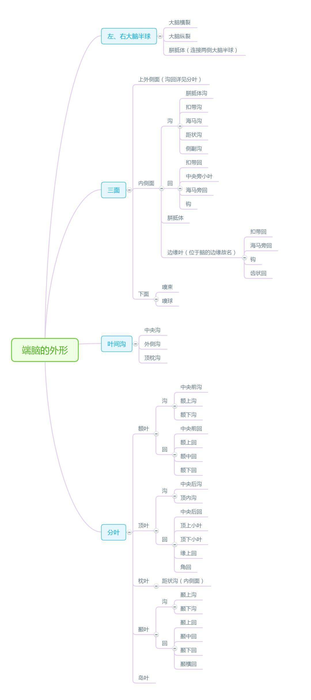 神经系统内分泌系统感觉器官脉管系统生殖系统泌尿系统呼吸系统消化