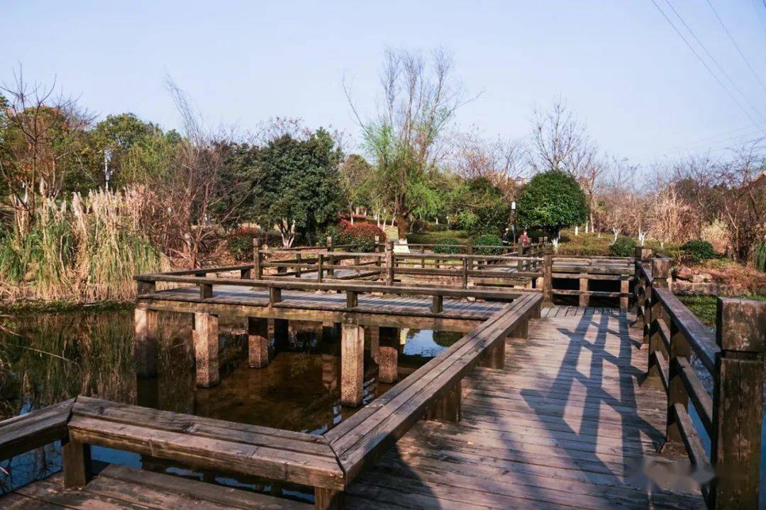 春游槠溪湿地公园
