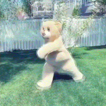 offer报喜 | 双非二本抢占