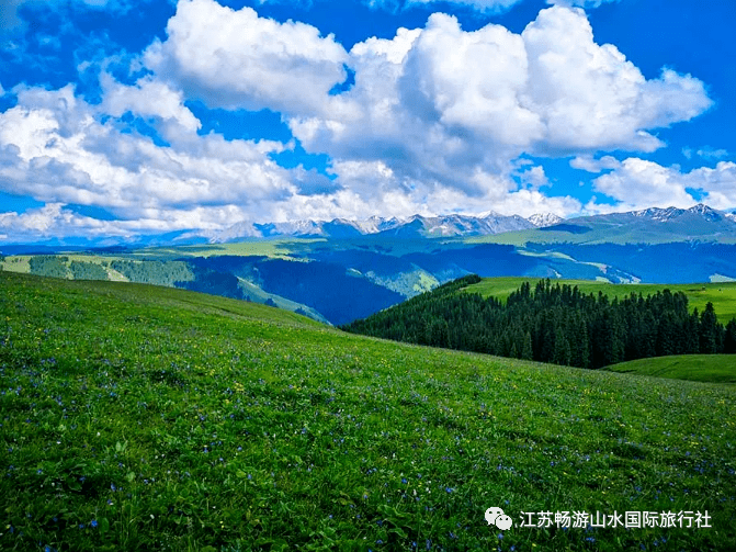 山水自组团3月31日伊犁吐尔根杏花沟赛里木湖蓝冰那拉提顶冰花托克逊