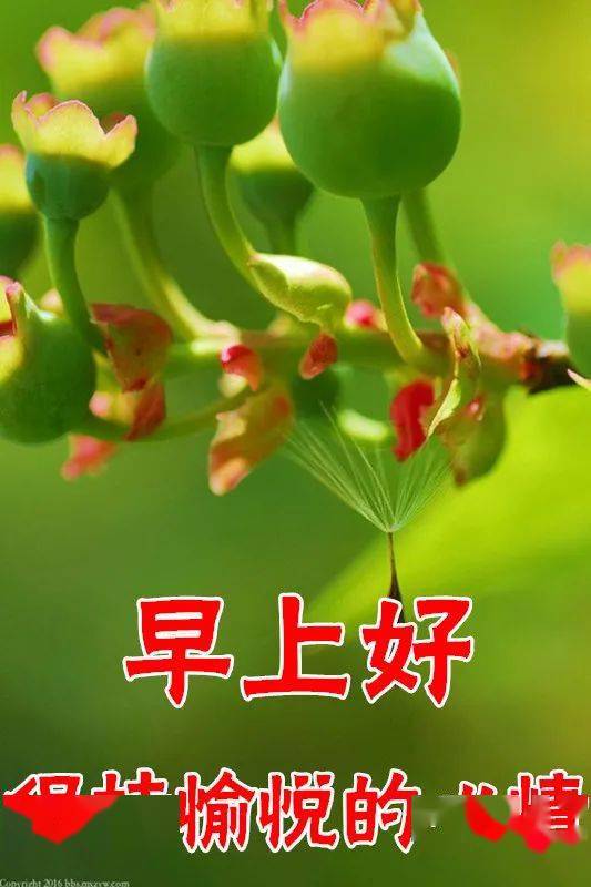 388社区早上好最新图片,17社区早上好图片大全 3月3日最漂亮早上好动态表情图片大全,早晨好动图美图
