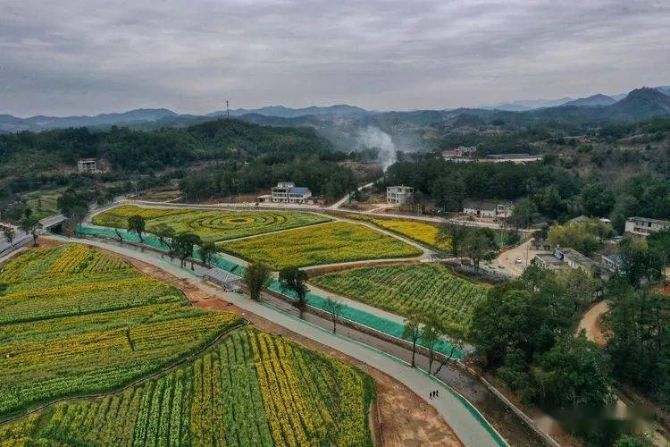 风景这边独好——会昌小密花乡介绍