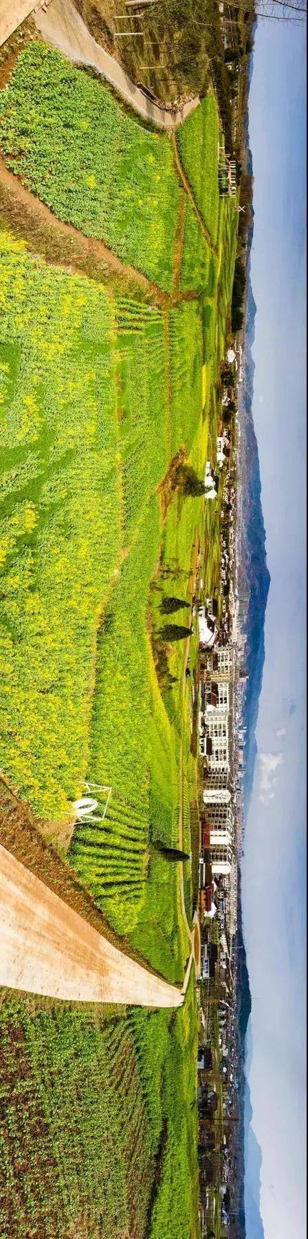 【观花海 看西乡】2021年油菜花节西乡主会场,震撼全景图来啦