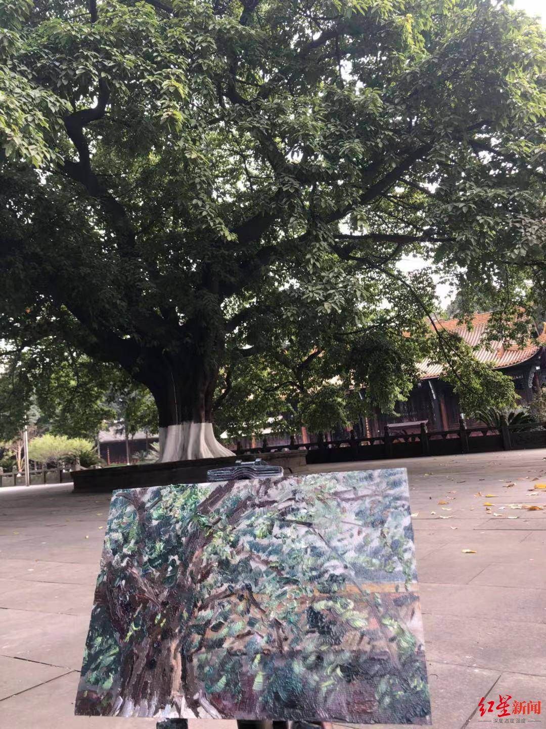 成都画家的"极限:一人一笔三餐四季,十年如一日妙手绘蓉城