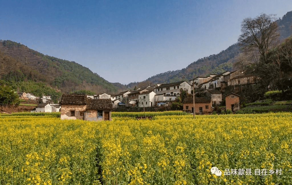 行乐须及春,怎可错过歙县春天理想国_村镇