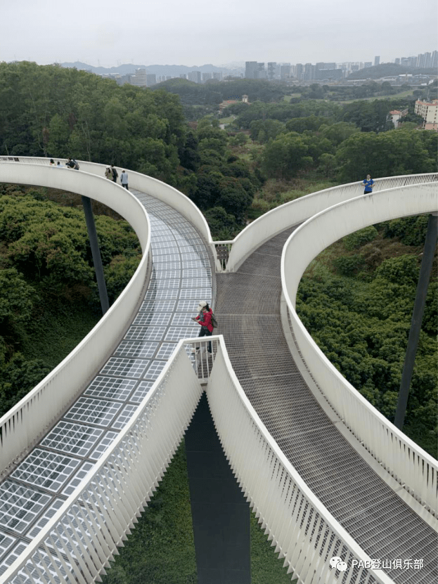 光明网红桥打卡,平湖生态园赏花