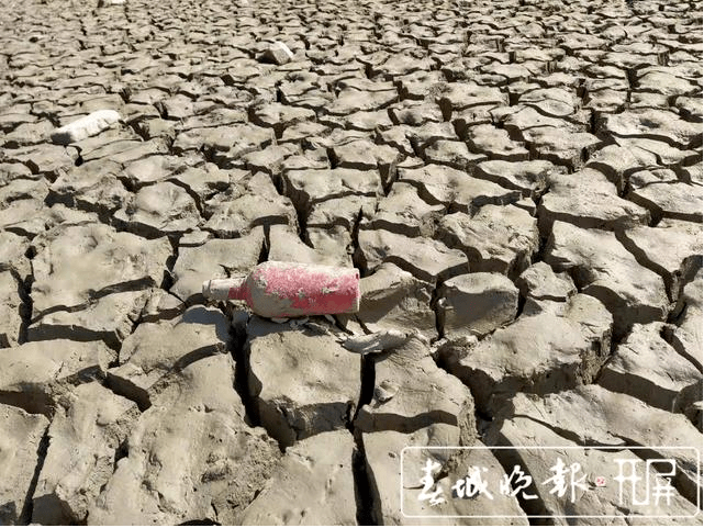 急库塘干涸见底学校断水云南多地旱情严峻楚雄人请节约用水