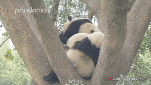 滚滚谈生活大学时期的我们月初月末是两个不同的生活水平