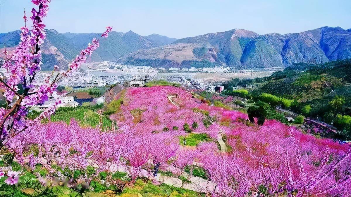 商洛丹凤桃花谷赶快出发吧~小编早已为你备好春天的赏花攻略阳春三月