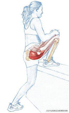 「臀肌训练合集」增强你的臀,缓解腰腿痛
