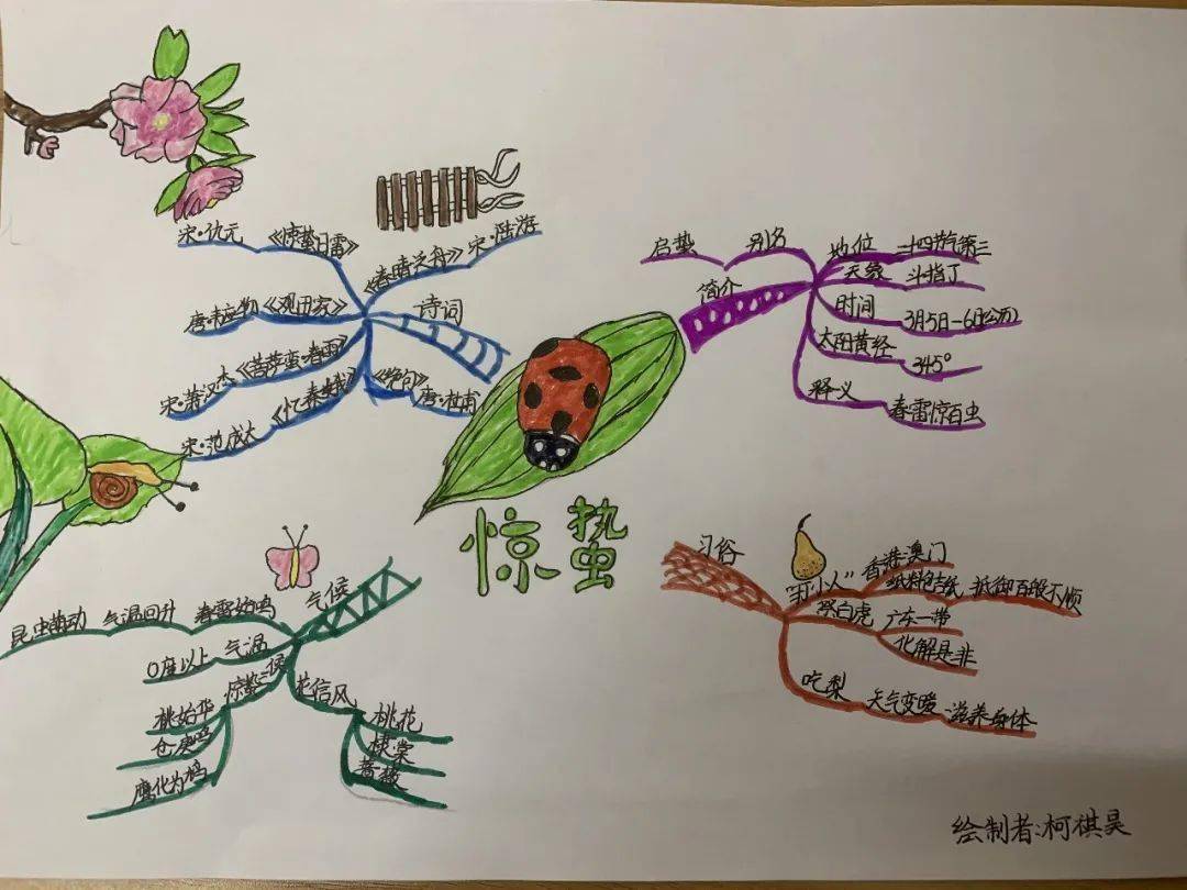 五(3)班的孩子们,精心制作了有关"惊蛰"知识的思维导图,利用课前5分钟