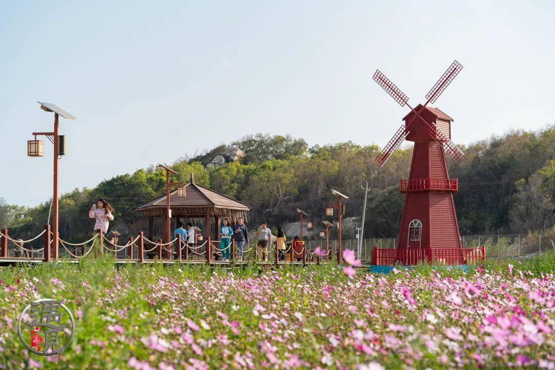 春有百花夏有荷惠来这个乡村值得一再打卡