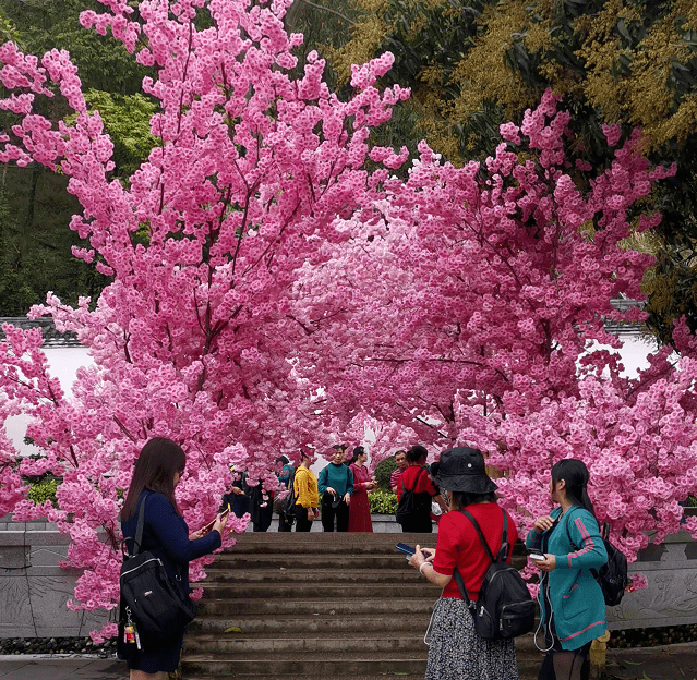 出游丨女神节前夕 兴业鹿峰山·龙泉洞景区迎来游客高峰!