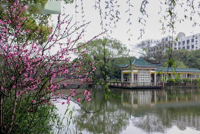 湖南科技大学校园春色 返回搜