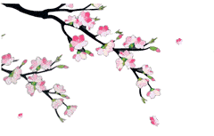 【诗海选粹】会员专刊(150)期