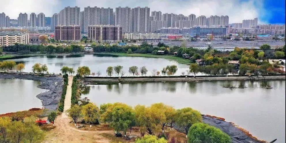 徐州生态项目最新进展,涉及公园建设,湿地修复.