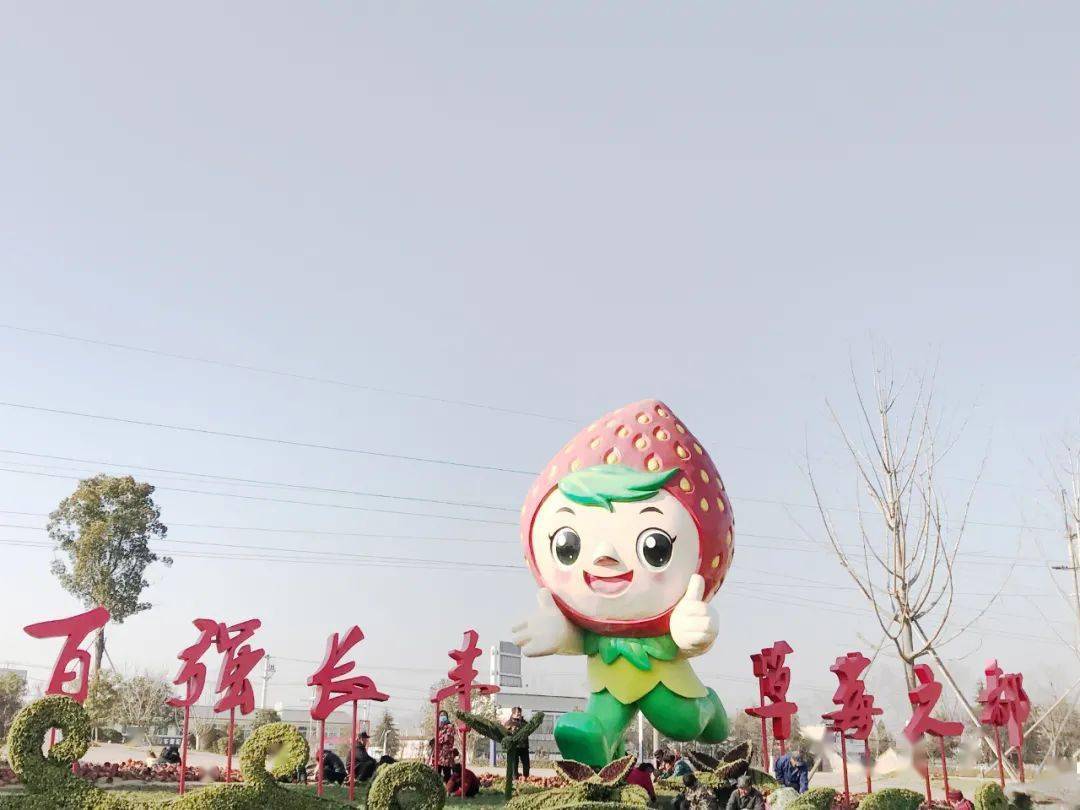 刘勇所在的长丰县,位于安徽北部,这里的草莓不仅供应着北京和上海等