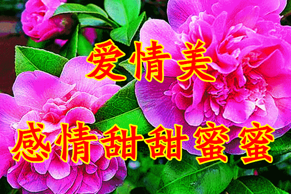 8女人节,祝你永远年轻漂亮,健康幸福!_祝福