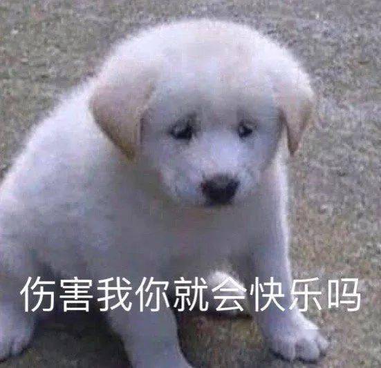 聊天搞怪表情包伤害我你就快乐了嘛
