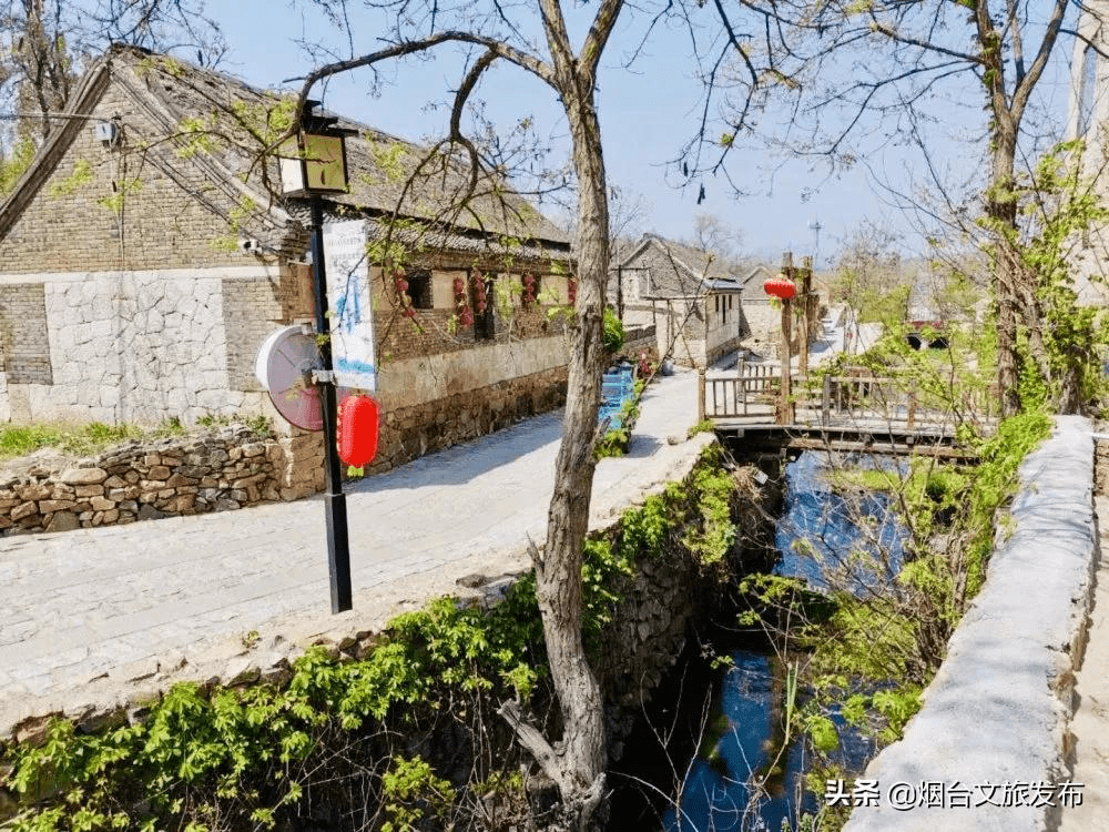 鲜美四季丨乘着春风出游,在莱州遇见一个有趣又诗意的