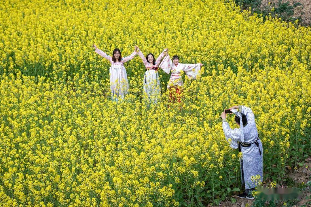 2021年汉中油菜花节勉县分会场多项活动等你来!