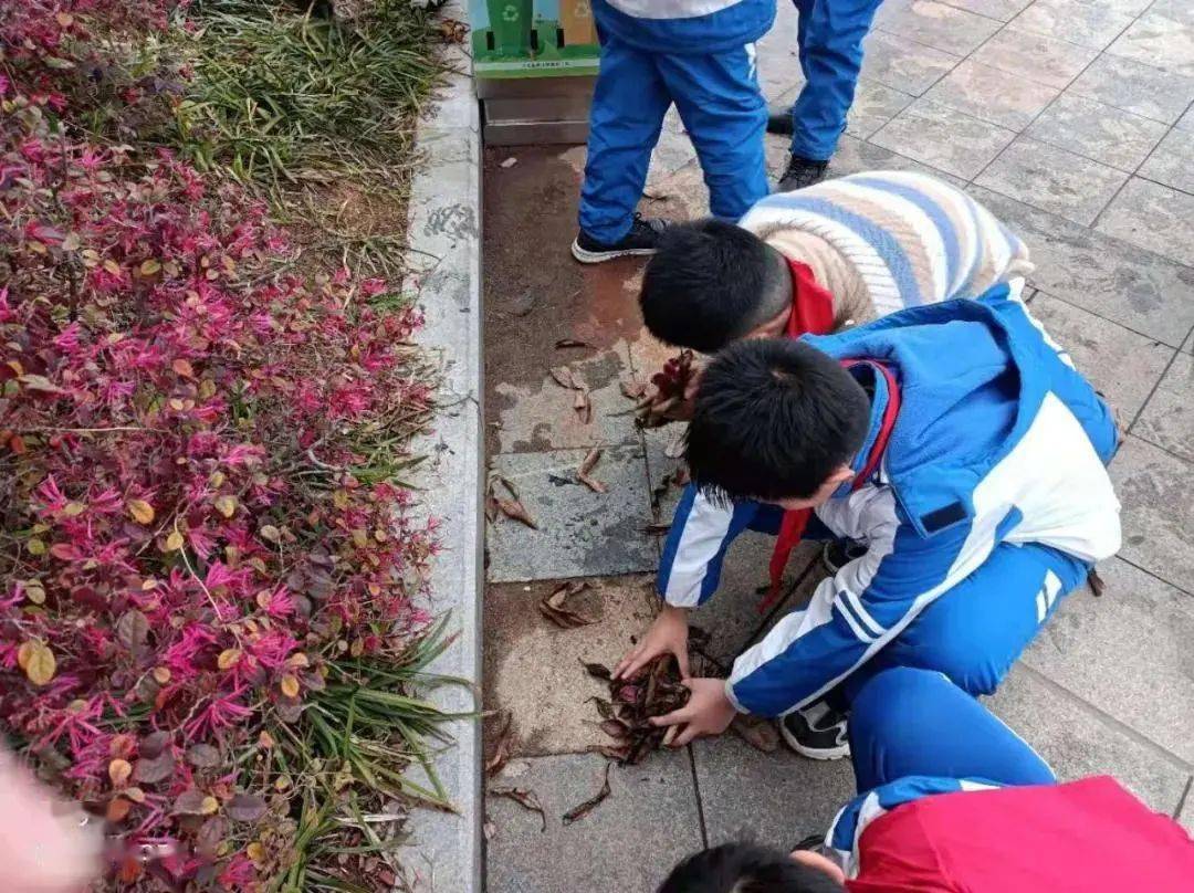 【少先队学雷锋】学雷锋,树新风!宁化县少先队员在行动!