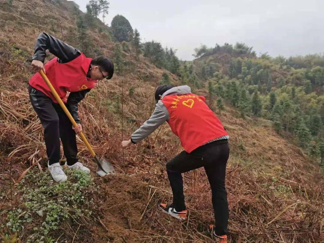 春光无限好 植树正当时 太湖"林小青"在行动!_活动