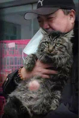 猫车| 好几年过去了,他们还在做同样的勾当