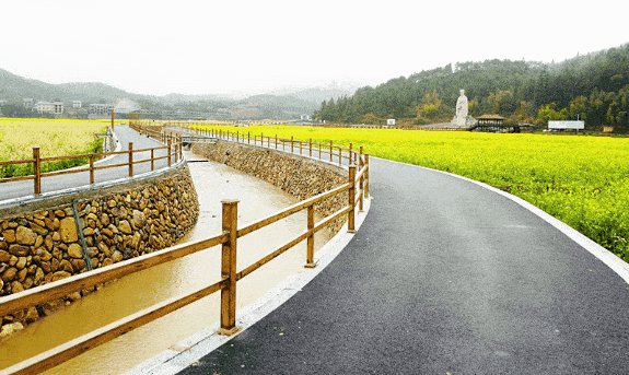 ↓↓↓ 春日里, 五夫镇朱子文化广场前 这片500亩油菜花田已迎春怒放