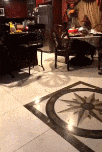 搞笑GIF: 这操作别人也是学不来