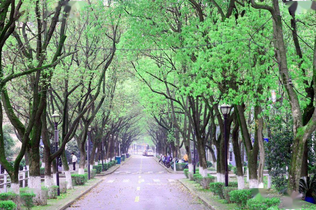 这里是,上饶师范学院