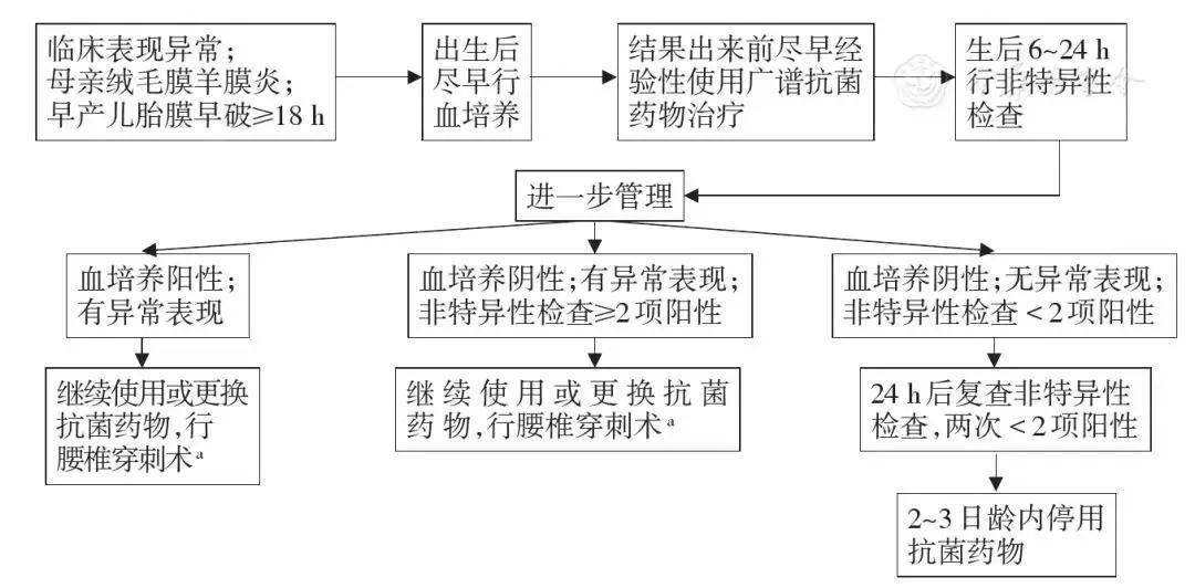 思维导图之新生儿败血症