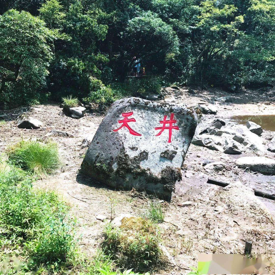 天井山国家森林公园咨询电话:地址:乳源县洛阳镇深洞村瑶山王茶仙谷