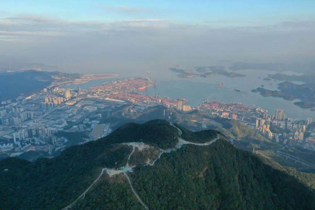 招飞丨无人机航拍梧桐山杜鹃谷活动