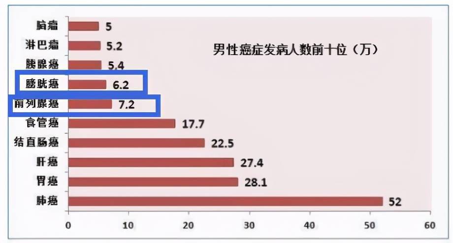 然而事实却是,膀胱癌是一种高发病率和高致死率的恶性肿瘤,同时也是