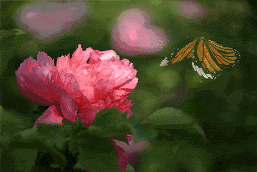 重庆惊现800米高牡丹花型