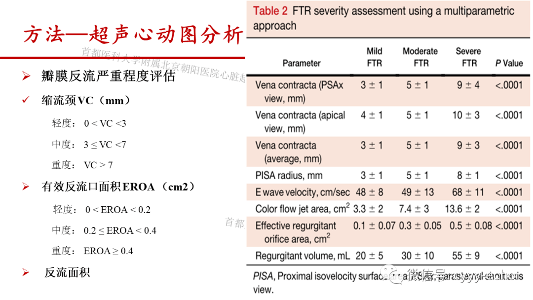 房颤患者右房重构与功能性三尖瓣反流之间的病理生理联系:三维超声