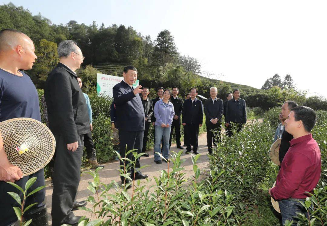 习近平:没有中华五千年文明,哪有我们今天的成功道路
