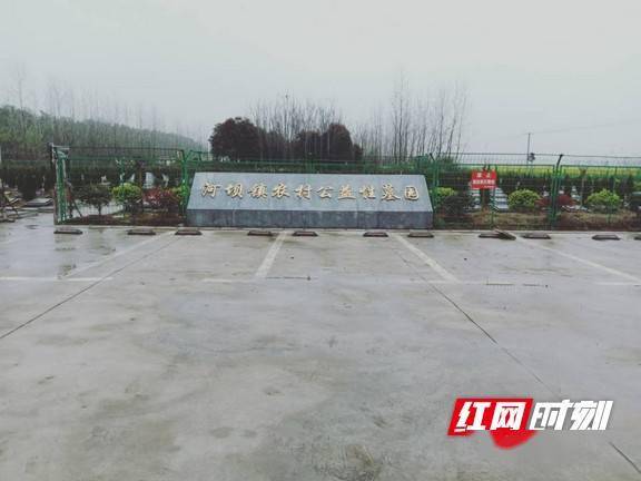 大通湖区:弃陋习树新风,殡葬改革的"河坝路径"