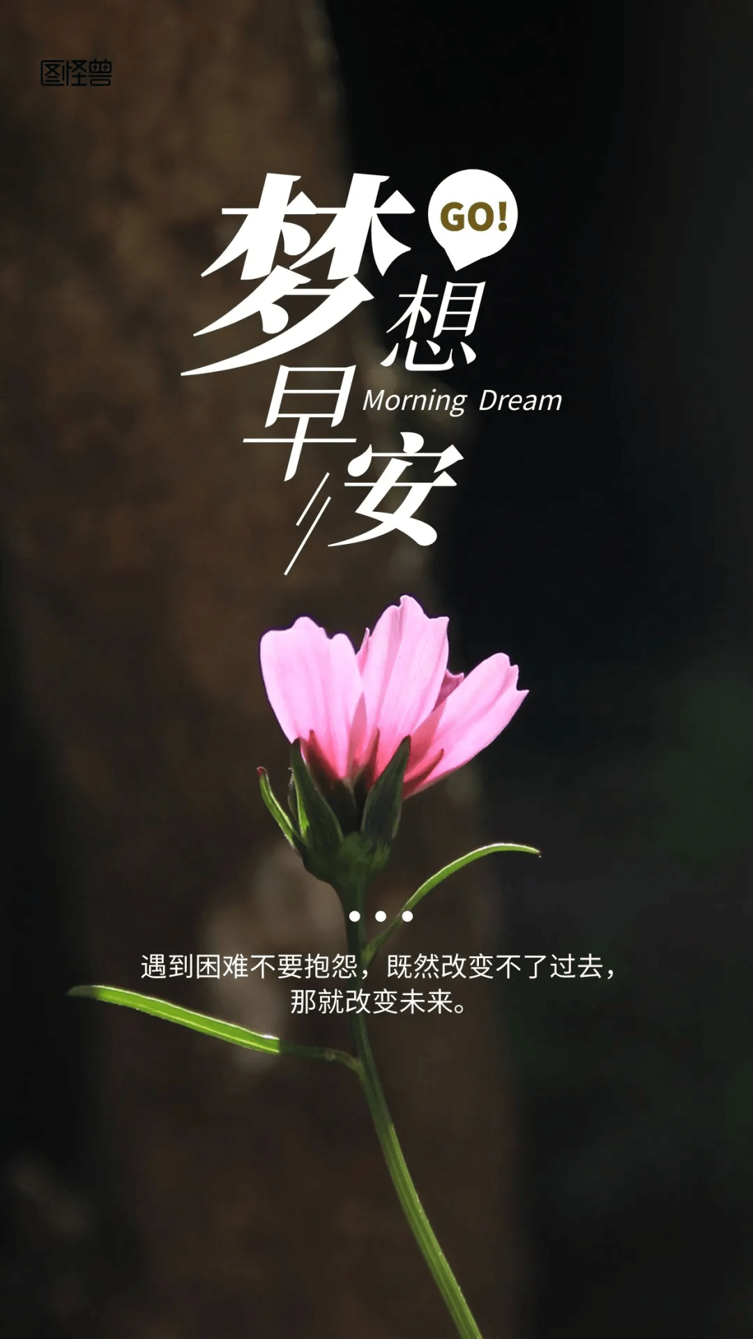 早安问候:有惊喜,有意外;有成功,有失败,早安