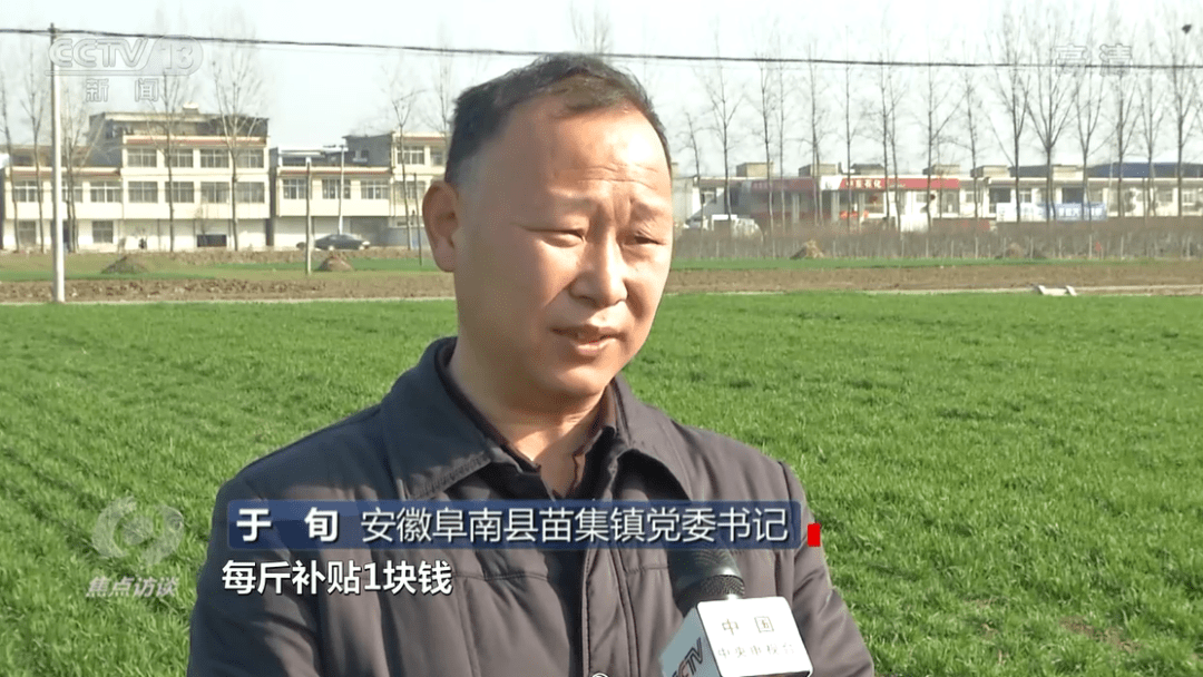 阜南县苗集镇党委书记于旬介绍:每亩按照30斤小麦的供种量,每斤补贴1