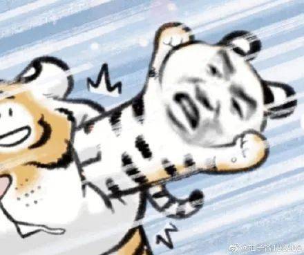 最近很火的小脑斧表情包这么萌的小老虎我还是第一次见